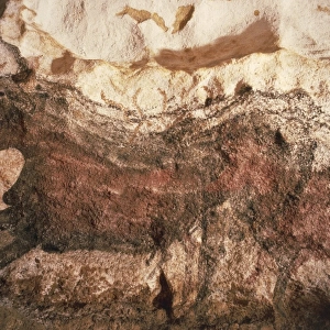 France, Lascaux, Vezere Valley, cave paintings
