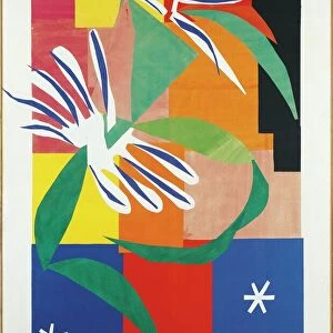 Art Prints: Henri Matisse