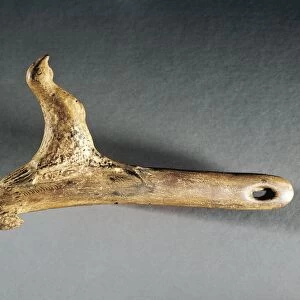 France, reconstruction of a reindeer horn tool carved into the shape of a bird, from Le Mas d Azil