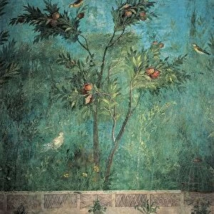 Fresco depicting garden with fruit trees and birds, detail of pomegranate tree, from Rome, Triclinium of House of Livia