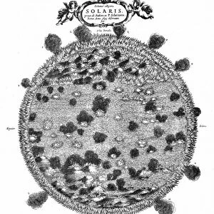German astronomer Christopher Scheiners (1573-1650) illustration of the surface of the sun