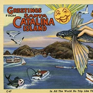 Greeting Card from Santa Catalina Island. ca. 1939, Santa Catalina Island, California, USA, In All The World No Trip Like This. SANTA CATALINA ISLAND. This magic Island enveloped in soft summer air and set in a turquoise sea, is just 26 miles from the mainland at Los Angeles Harbor. This picturesque land is twenty-two miles long, and varies from a quarter to seven and one-half miles in width, an enchanting region of high mountains, circling bays, lofty cliffs, canyons, smooth beaches and calm, transparent water