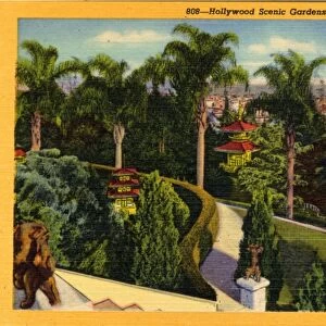 Hollywood Scenic Gardens, overlooking Hollywood, California