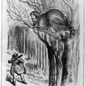 Illustration called Up a Tree 1862