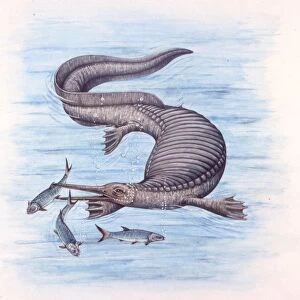 Illustration representing Nanchangosaurus swimming in sea