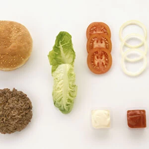 Ingredients of a hamburger and chips