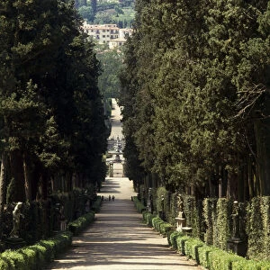 Italy, Florence, Boboli Gardens, avenue of Cypress trees with fountain and palazzi in the distance