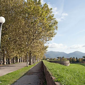 Italy, Tuscany, Lucca, Renaissance city walls with mountains in distance