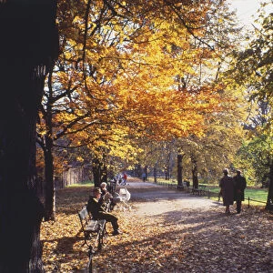 Poland, Cracow, The Planty, people sitting on benches and strolling along parkland path, flanked with trees shedding their autumnal leaves