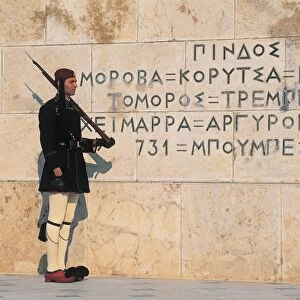 Side profile of a soldier standing in front of a wall of a government building, Parliament Building, Athens, Greece