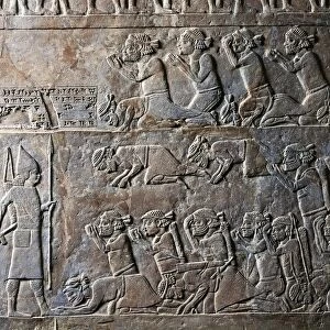 Detail of relief depicting tribute to King Ummanigash, from ancient Nineveh, Iraq