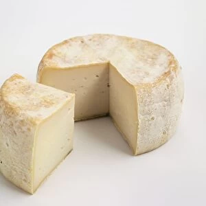 Round and slice of French Chevrotin des Bauges AOC goats cheese