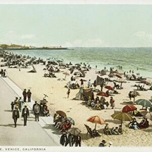Along the Shore, Venice, California Postcard. ca. 1923, Along the Shore, Venice, California Postcard