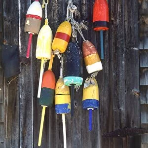 USA, New England, Maine, lobster trap buoys hanging on wall of shed