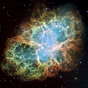 Amazing Crab Nebula