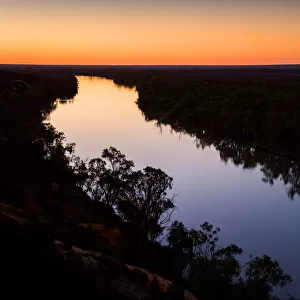 Australia, Australian, calm, gum tree, reflections, river, River Murray, South Australia