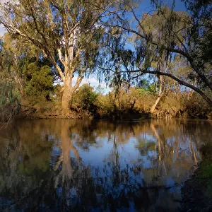 Along the banks of the Ovens river at Wangaratta in late Autumn, North Central Victoria, Australia
