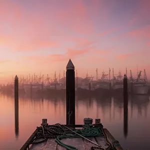 Fog at the commercial dock at sunrise