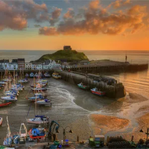 Ilfracombe Harbour at Dawn