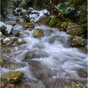 Mountain stream, Mount Roland, in the island state, Tasmania, Australia