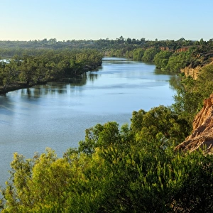 Murray River. Waikerie. South Australia