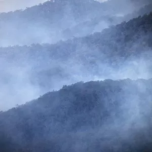 Smoke in the valley, Blue Mountains National Park