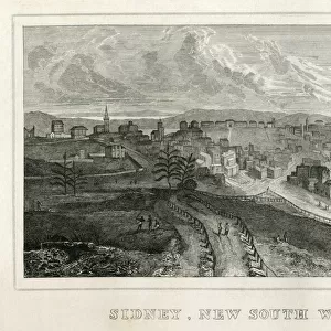 Sydney, New South Wales (early 19th century engraving)