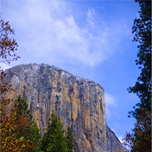 A view to El Capitan, Yosemite national park, California