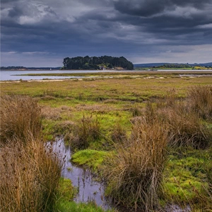 Wildlife and recreational reserve of Arne, the Isle of Purbeck, Dorset, England, United Kingdom