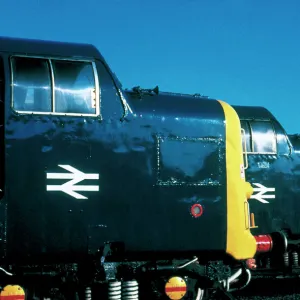 A row of Class 55 Deltic diesel locomotives built by English Electric in 1961-1962