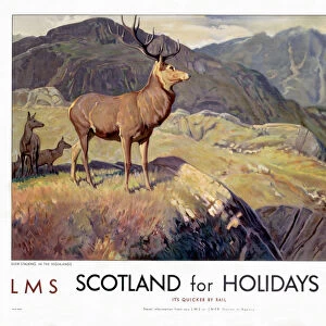 Highlands Collection: Related Images