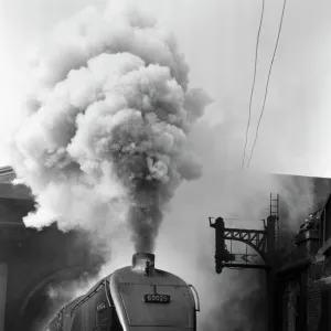 Woodcock, A4 Class steam locomotive No 60029, c 1954. Locomotive billowing smoke