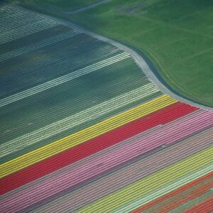 Netherlands Collection: Aerial Views