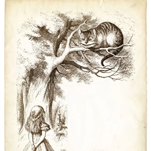 Alice and the Cheshire cat engraving 1898