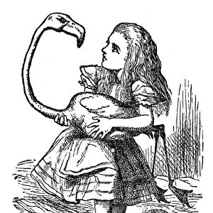 Alice holding a flamingo - Alice in Wonderland 1897