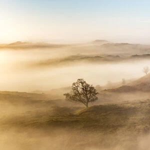 Atmospheric Lake District landscape. UK