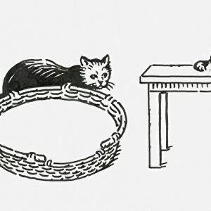 Black and white digital illustration of three cats lying down near pet bed, sitting on table, and st