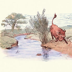 Bull chasing a straw hat down a stream
