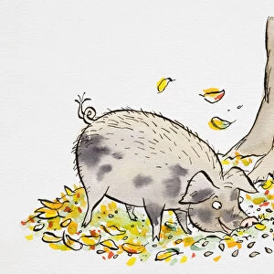 Cartoon of smiling grey wild Pig grazing by the foot of tree trunk, autumn leaves scattered on grass, side view