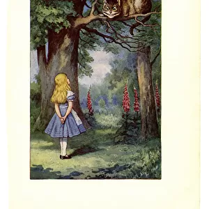 Cheshire Cat on tree illustration, (Alices Adventures in Wonderland)