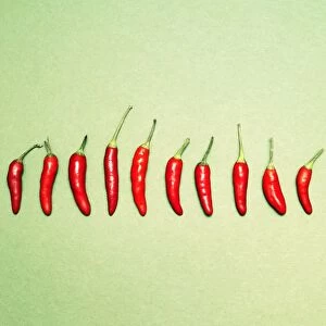 Chili peppers in a row