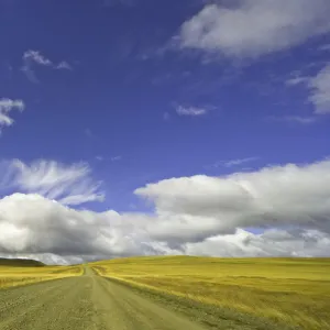 cumulus clouds above road, Patagonia, Argentina