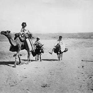 Desert Transport