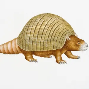 Digital illustration of Doedicurus clavicaudatus, a prehistoric glyptodont with domed carapace and spikes on end of long tail