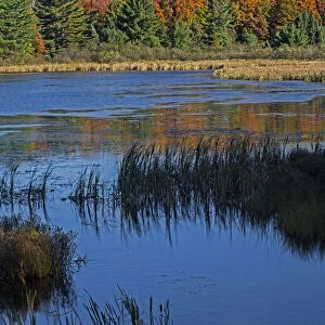 Doe Lake on sunny day, Hiawatha National Forest, Upper Peninsula, Michigan, USA