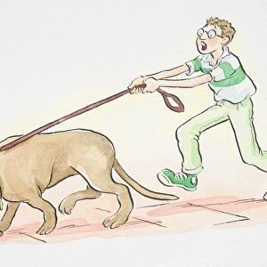 Dog on leash sniffing the ground and pulling forward the man walking it
