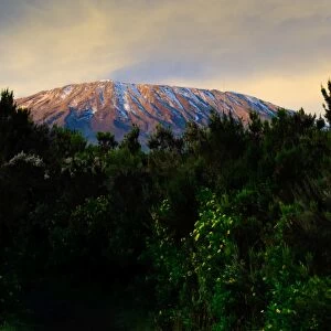 First Light on Mt. Kilimanjaro