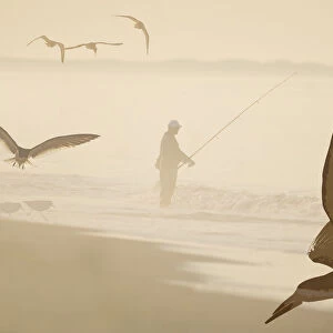 Fisherman and shorebirds