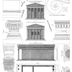 Grecian Ionic architecture engraving 1878