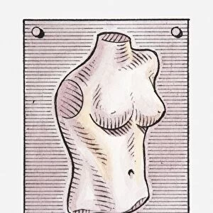 Illustration of a female torso on a poster